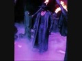 Druid Undertaker