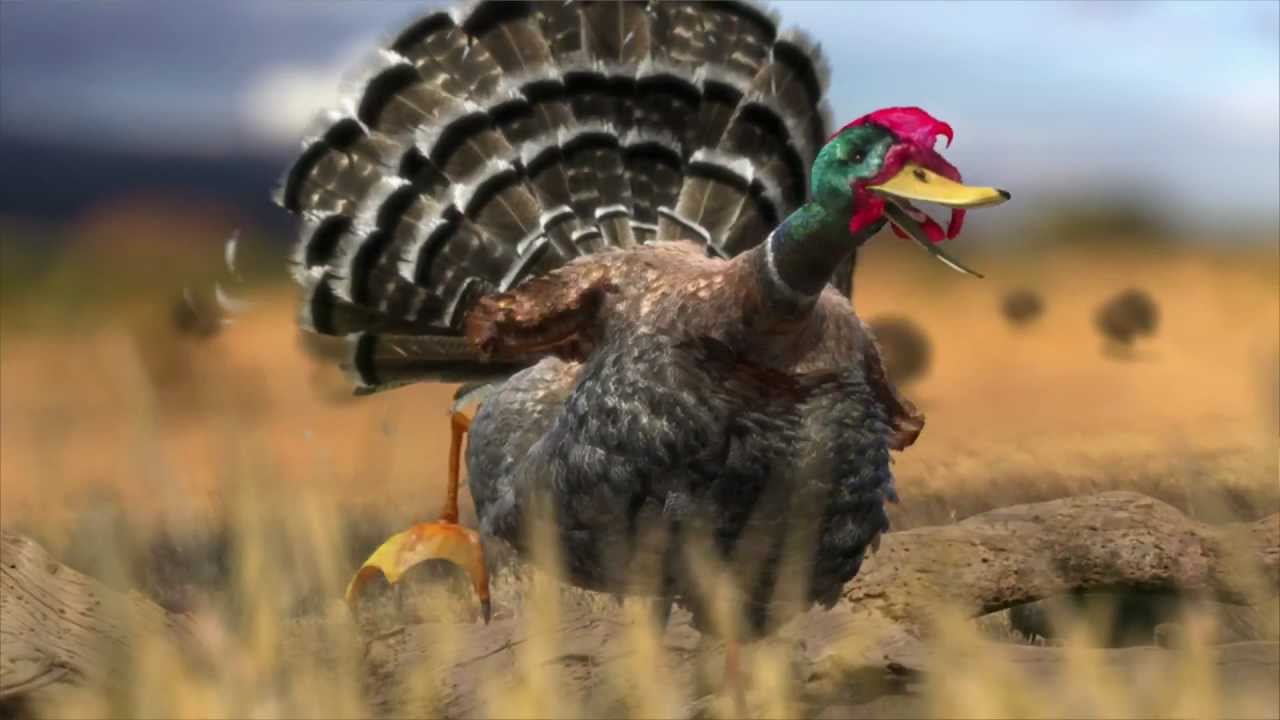 PeptoBismol 30s Holiday Turducken Video.mp4 YouTube