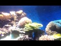 New York Aquarium - 6.16.12 - 002.mp4