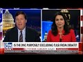 Tulsi Gabbard on DNC Dirty Tricks to Keep Her Out of Future Debates