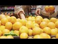 Free-to-Use Stock Footage of Picking Oranges From Grocery Store