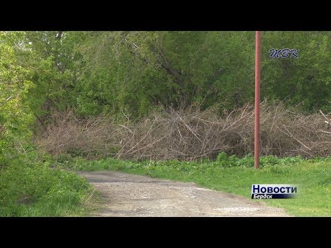 Бердские власти займутся улицей Черемушная Бердские власти займутся улицей Черемушная