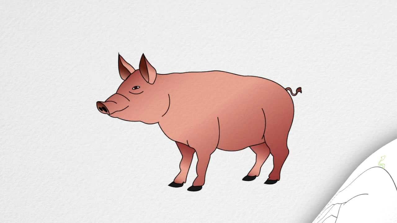 How to draw a PIG step by step - YouTube