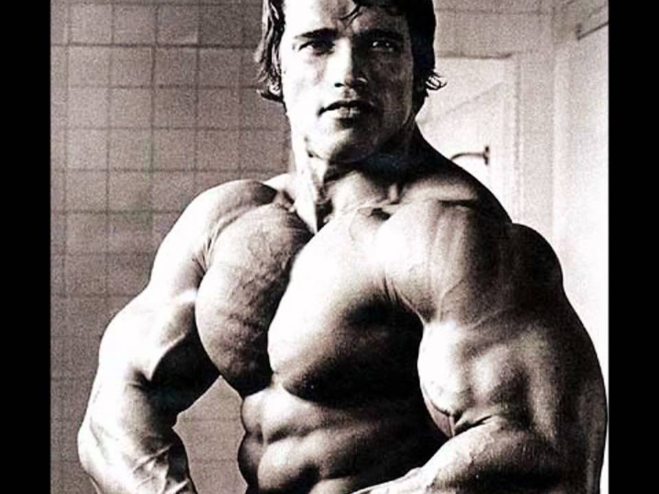 arnold schwarzenegger motivational speech mp3 download