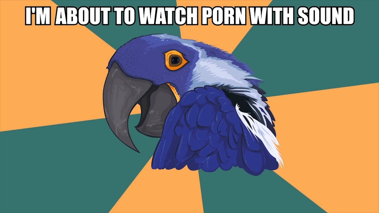 Parrot Porn Vids 54