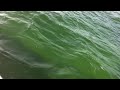 Bobby Catching a Tarpon