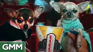 Should You Sneak Food Into The Movies?