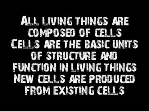 Cell Theory Rap