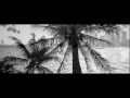 Hardwell feat. Amba Shepherd - Apollo (Acoustic Version) - Teaser