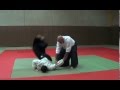 Hubert FONTAINE Ikkyo à Yonkyo