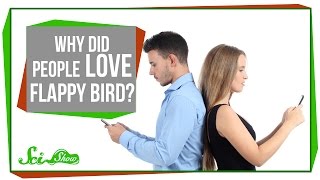 Why Did People Love Flappy Bird?