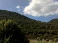 Sardinia on the road: Monte Pizzinnu SS131DCN video