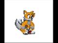 Tails The Werefox