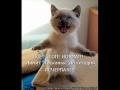 Значок видео