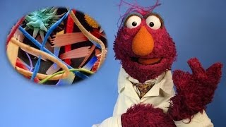 5 Hidden Worlds Revealed Under a Microscope (w/ Sesame Street) #5facts