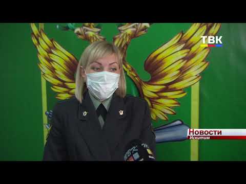89 миллионов рублей задолжали родители своим детям в Искитиме и районе 89 миллионов рублей задолжали родители своим детям в Искитиме и районе