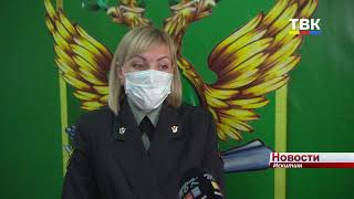 89 миллионов рублей задолжали родители своим детям в Искитиме и районе