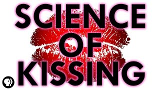 The Science of Kissing | It's Okay To Be Smart | PBS Digital Studios