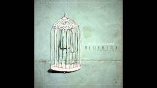 Bluebird Sara Bareilles