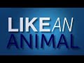 Conor Maynard - Animal (Lyrics)