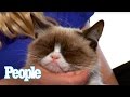 Can We Make Grumpy Cat Smile?