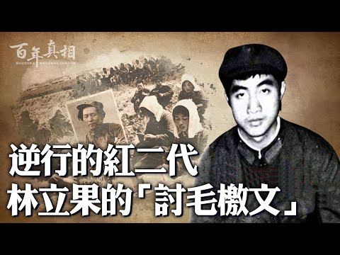 林立果，林彪之子，十年文革結束前，他痛批毛澤東