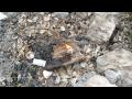 Ultimate Survival Technologies StrikeForce Review