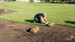 Как делать газоны на даче пошаговая инструкция
