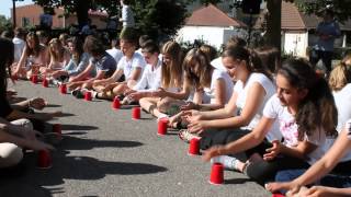 Cup song  collège du Bernstein Dambach la ville