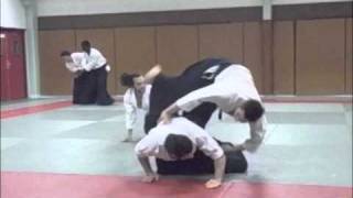 Aikido Tamaki Léo niningake