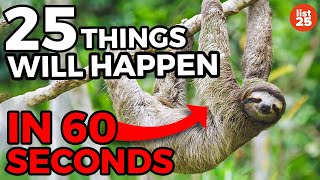 25 Things That Will Happen In The Next 60 Seconds