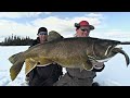 Giant Tip-up Laker - iTrout (Part 2 of 3) - Uncut Angling - January 3, 2013