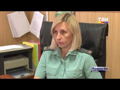 Более 3 млрд рублей задолжали бердчане