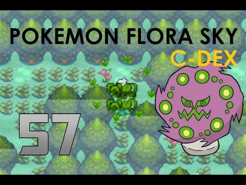 Pokémon Flora Sky C-Dex Walkthrough Part 57: Mission #1 [Operation ...