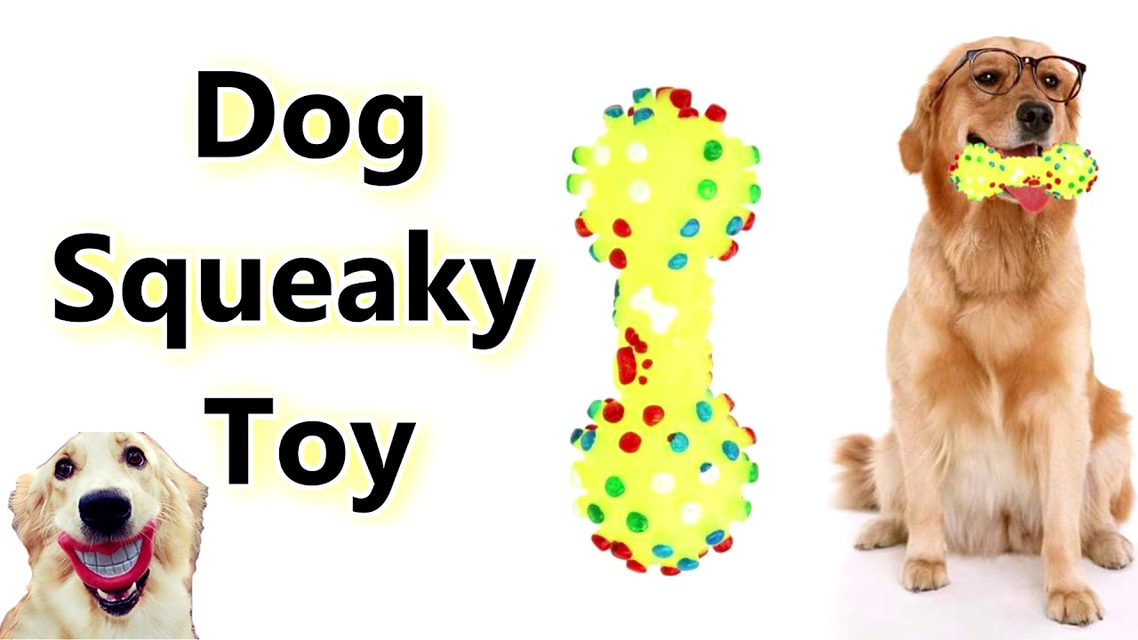 dog toy sound