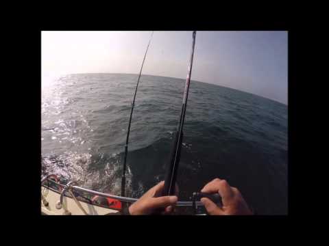 Wreck fishing for Pollock on Kelleys Hero 2 from Portsmouth