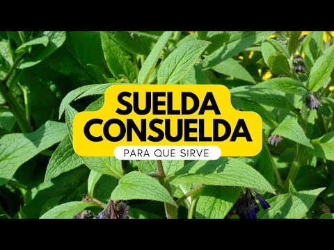 Como la psoriasis influye sobre la sangre