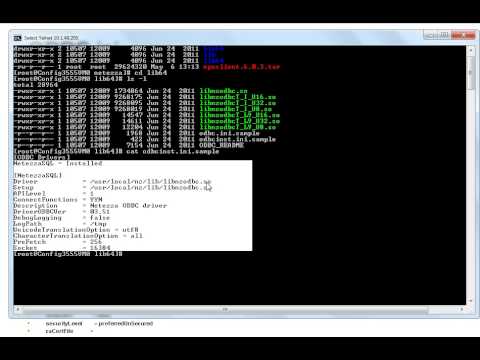 How to configure Netezza ODBC drivers on your Linux or Unix system ...