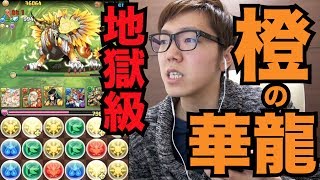 【パズドラ】橙の華龍地獄級にサクヤ&ホルスパで挑む！【ヒカキンゲームズ】