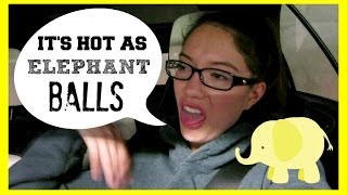 IT'S HOT AS ELEPHANT BALLS! Daily Diary June 24, 2014 | Blair Fowler