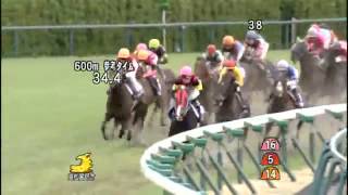 高松宮記念 2014 コパノリチャード