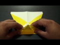2 - Origami Canard Plane!