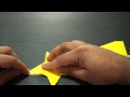 3 - Origami Canard Plane!