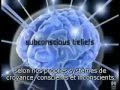 Notre Réalité n'est qu'une Illusion