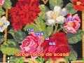 Mircea Rusu - Iarba verde de acasa - Karaoke Romanesti