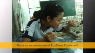dai hoc can tho nong hoc k33