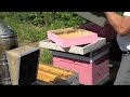 Handling Queens and Making Splits the FatBeeMan