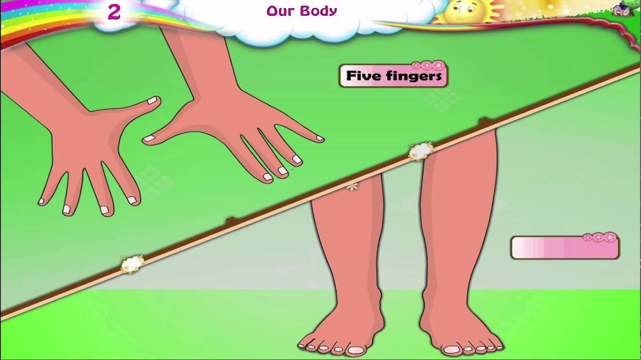 Learn Grade 3 - Science - Parts Of The Body - YouTube