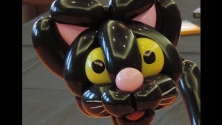 The best cat balloon you can learn(advanced)