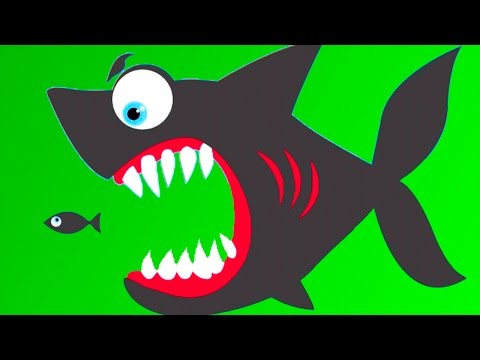 Fun Kids Learning Games - Amazing Baby Puzzles Kids Games With Animation Puzzle For Children